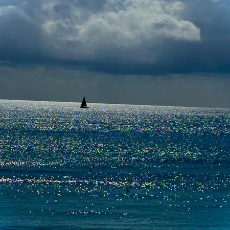 Primera Línea Playa El Palmeral * Torrevieja