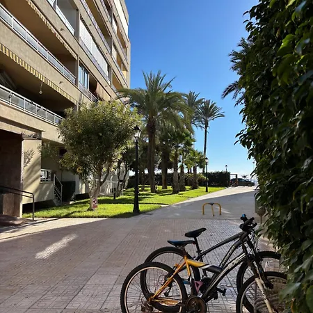 Primera Línea Playa El Palmeral Apartamento