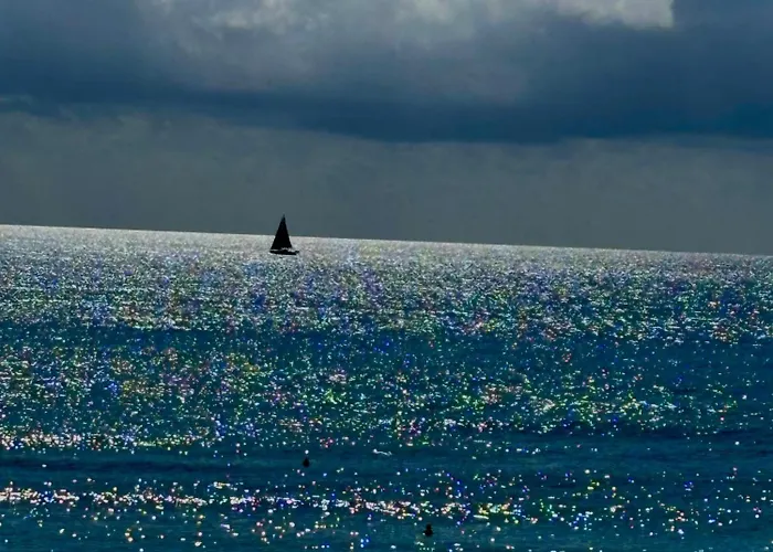 Primera Linea Playa El Palmeral * Torrevieja